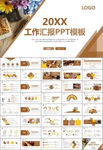 中医中药行业总结计划PPT