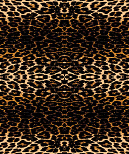 豹纹图案纹理背景