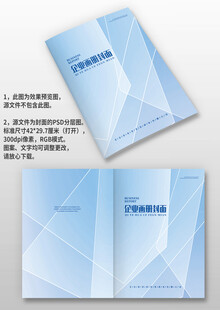 浅蓝线条几何风企业图册画册封面