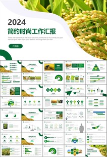 水稻农田农业种植大米PPT模板