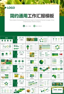 水稻农田农业种植大米PPT模板