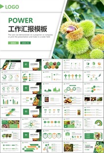 营养美食美味板栗种植宣传PPT