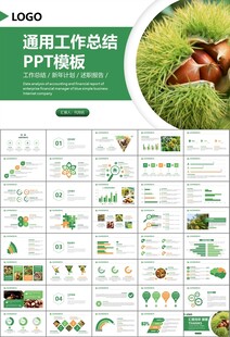 营养美食美味板栗种植宣传PPT