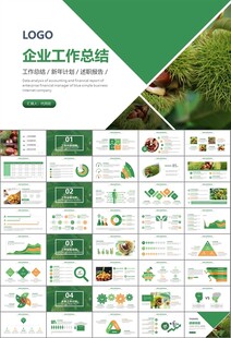 营养美食美味板栗种植宣传PPT