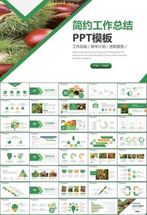 营养美食美味板栗种植宣传PPT