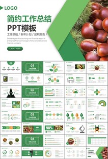 营养美食美味板栗种植宣传PPT