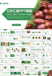 营养美食美味板栗种植宣传PPT