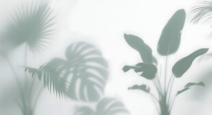 雾气磨砂膜效果绿植贴图