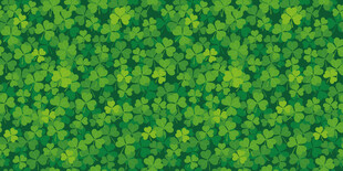 高清三叶草背景