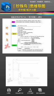 珍珠鸟思维导图手抄报小报