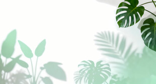 雾气磨砂膜效果绿植贴图