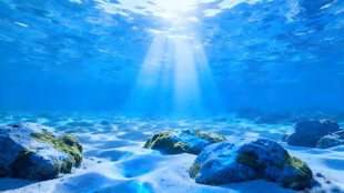 海底阳光照耀的岩石景观