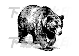 矢量手绘线描黑熊图