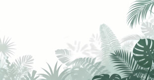 雾气磨砂膜效果绿植贴图