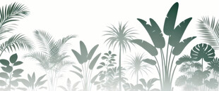 雾气磨砂膜效果绿植贴图