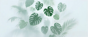 雾气磨砂膜效果绿植贴图