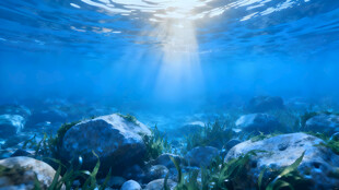 海底阳光照耀的美丽景象