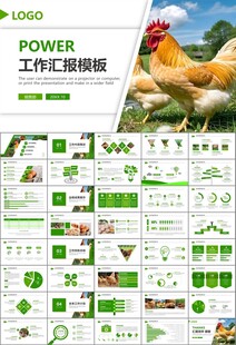 绿色生态农家鸡舍家禽养殖PPT