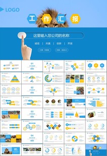 动物园工作总结保护野生动物