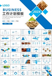 精美核桃种植产业总结计划ppt