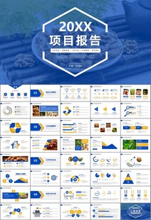 精美核桃种植产业总结计划ppt