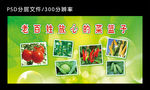 蔬菜海报