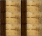 印度恒河岸边墙上的猴子