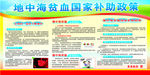 地中海贫血宣传栏