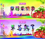 草莓季节
