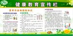 健康教育