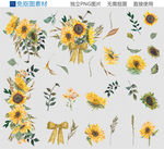 手绘向日葵素材