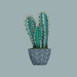 趣味手绘盆栽系列