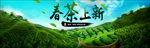 淘宝茶叶海报