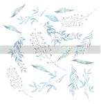 叶子 树叶 花叶 春天 热带