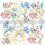 叶子 树叶 花叶 春天 热带