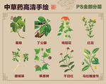 中草药手绘