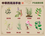 中草药手绘