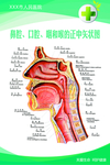 鼻腔 口腔 咽和喉的正中矢状图