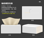 抽纸模型 卫生纸模型