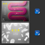 生菌合理膳食肠胃健康