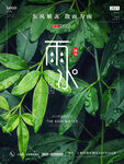 雨水二十四节气绿叶清新海报