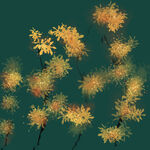 国潮彩绘花卉意境背景