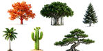 多样树木绿植素材集合