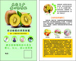 猕猴桃产品宣传页展示