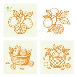 赣南脐橙果园田园采摘插画