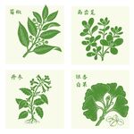 丹参银杏马齿苋蜀椒中药材