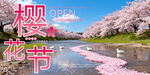 樱花节