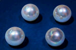 珍珠四颗