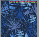 蓝色热带棕榈叶图案布料