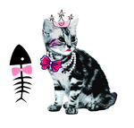 戴皇冠的时尚猫咪